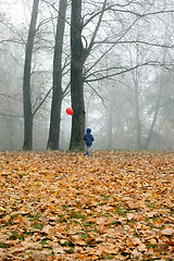 Image showing Autumn parkand boy