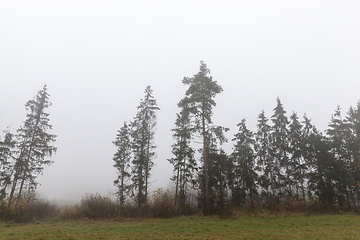 Image showing fog autumn landscape