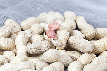 Image showing nut fresh