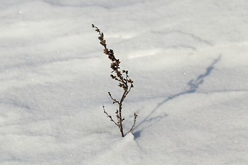 Image showing Snow drift