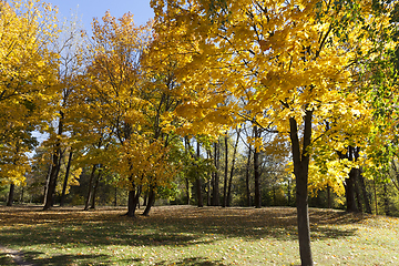 Image showing park autumn