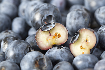 Image showing Blueberry berry