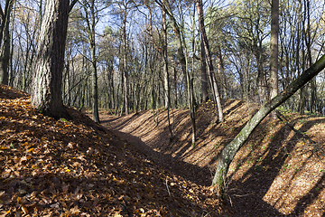 Image showing Hilly park autumn