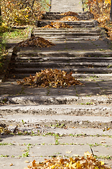 Image showing foliage stairs