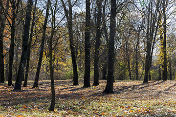 Image showing autumn park