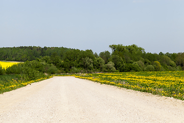 Image showing Road spring, countryside