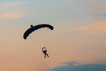 Image showing parachuting sport in sunset sky
