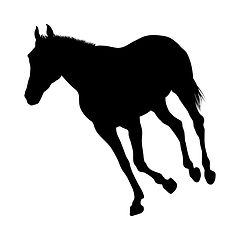 Image showing Horse Silhouette