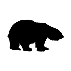 Image showing Polar Bear Silhouette