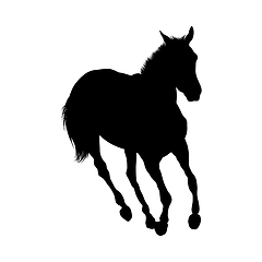 Image showing Horse Silhouette