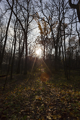 Image showing sun during sunset