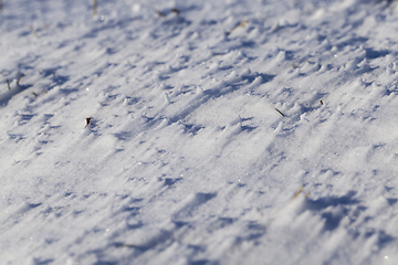 Image showing Snow after snowfall