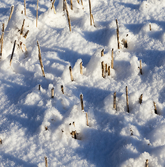 Image showing Snow drifts in winter