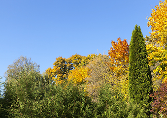 Image showing Autumn landscape