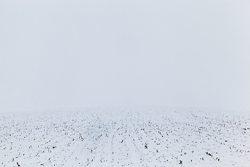 Image showing Snowdrifts in winter