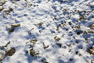 Image showing land covered with snow