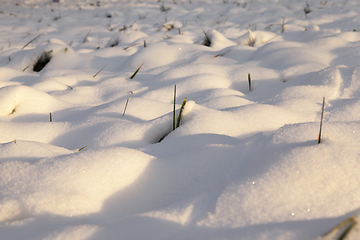 Image showing After snowfall