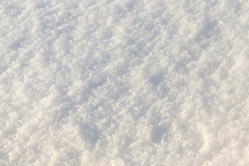 Image showing land covered with snow