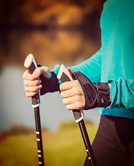 Image showing Woman's hand holding nordic walking poles