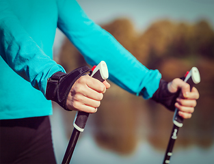 Image showing Woman's hand holding nordic walking poles