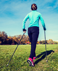 Image showing Nordic walking