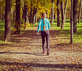 Image showing Nordic walking