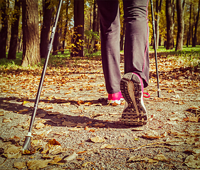 Image showing Nordic walking