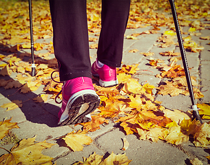 Image showing Nordic walking