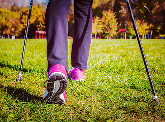 Image showing Nordic walking