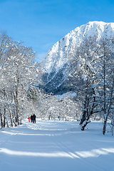 Image showing ski track in the forest towards rambjøra