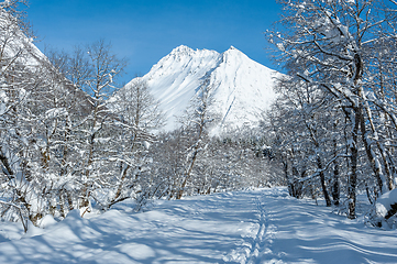 Image showing ski track in the forest towards the Vassdal peak