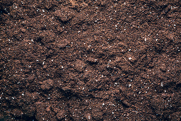 Image showing Textured fertile soil as background. Gardening and planting season