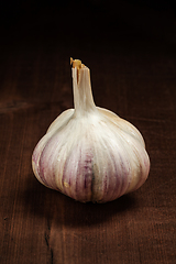 Image showing Garlic