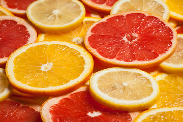 Image showing Colorful citrus fruit slices