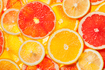 Image showing Colorful citrus fruit slices