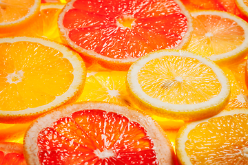 Image showing Colorful citrus fruit slices