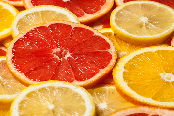 Image showing Colorful citrus fruit slices