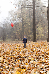Image showing Boy with a red balloon