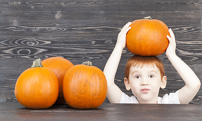 Image showing A red-haired boy with red pumpkins
