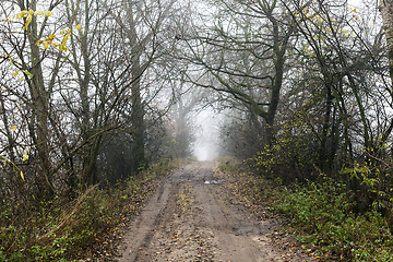 Image showing dirt and traces of car