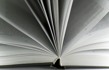 Image showing opened book