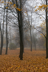 Image showing late autumn in the park