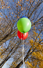 Image showing Red green ball