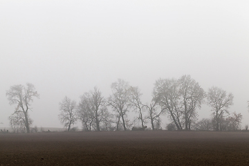 Image showing autumn morning