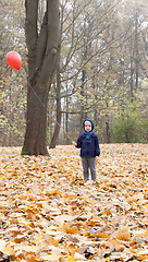 Image showing Boy with a red balloon