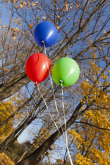 Image showing Red blue green balloons