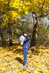 Image showing A little boy in an autumn park