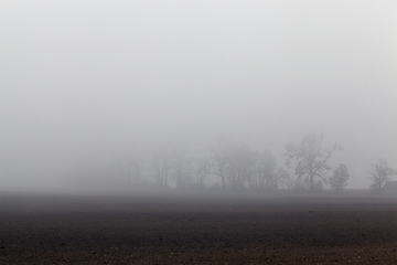 Image showing autumn morning