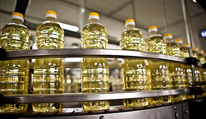 Image showing Sunflower oil in the bottle moving on production line. Shallow dof.