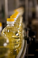 Image showing Sunflower oil in the bottle moving on production line. Shallow dof.